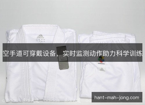 空手道可穿戴设备，实时监测动作助力科学训练